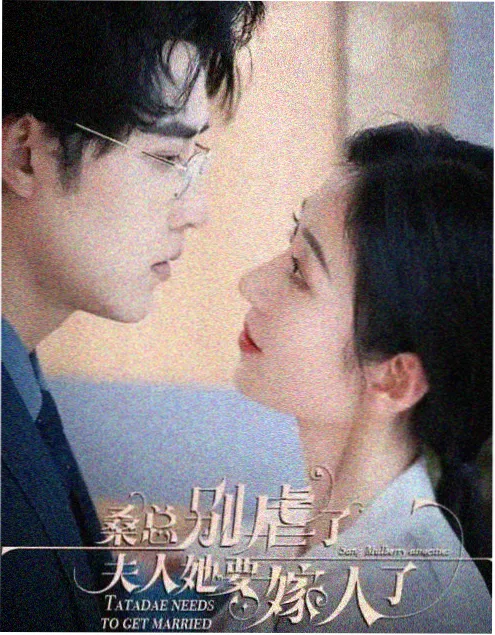 白塔之证 高分日剧在线观看